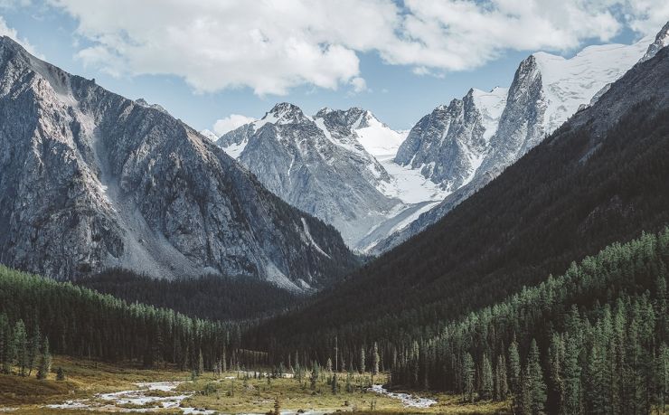 ga黄金甲-2024与2026世界杯：足球世界的“双年变奏”与未来图景